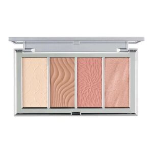PUR Cosmetics 4 in 1 Skin Perfecting Powders Face Palette in Fair Light